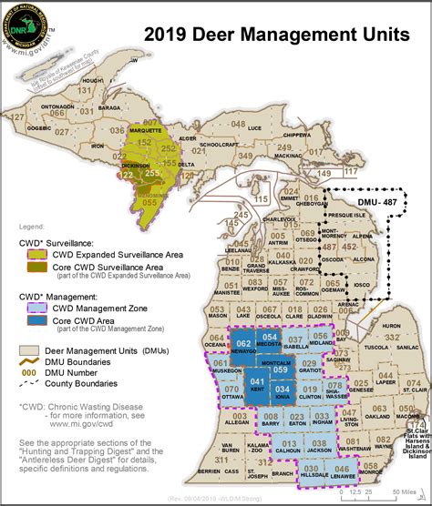 Michigan Deer Hunting Changes: What You Need to Know for 2024