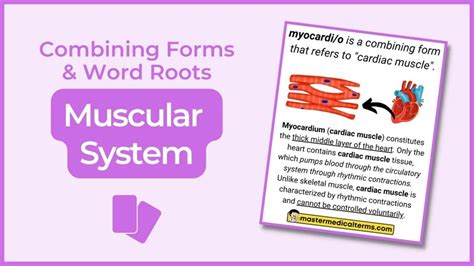 Micro Master Medical Terms Micro Master Medical Terms