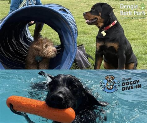 Middlecott Design Dip N Dive In The D Book Middlecott Design Dip N Dive In The D Book