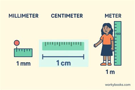 Millimeter Mm Definition Facts Examples Quiz Math Measurement For Students