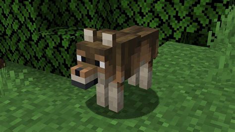 Minecraft 1 20 5 Snapshot 24W10a Patch Notes New Wolf Variants Bug