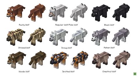 Minecraft Dog Variants