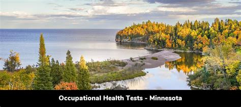Minnesota Occ Health