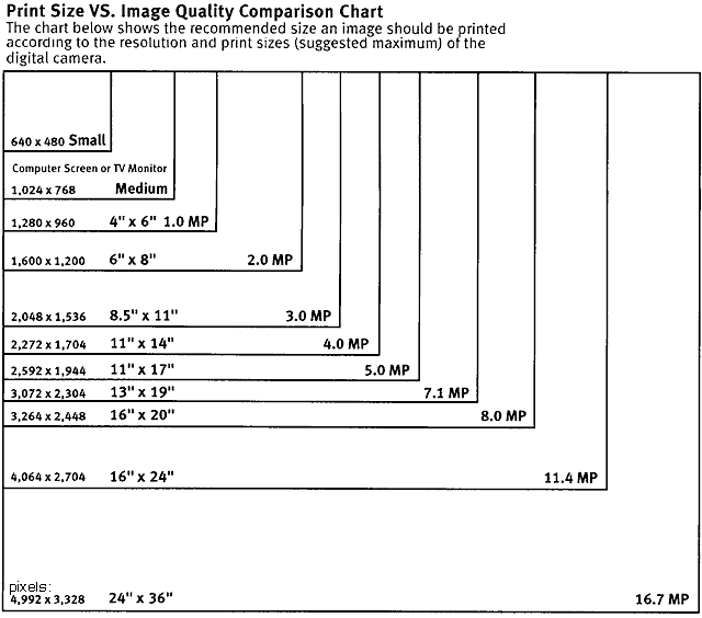 Mm Actual Size Pixel Chart Merypopular