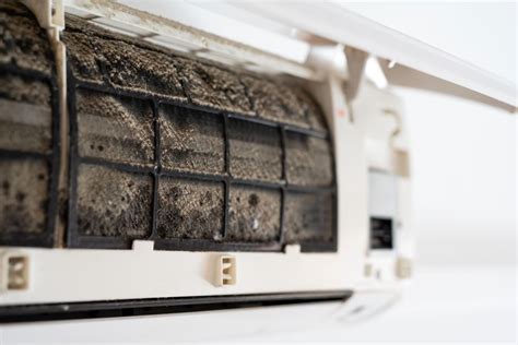 How to Detect and Remove Mold in Window AC Units Effectively