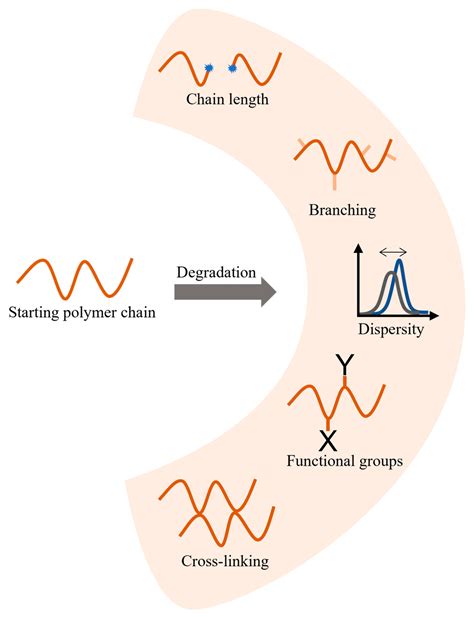 Molecules Free Full Text Molecular Pathways For Polymer Degradation