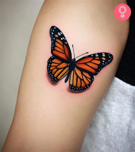 Monarch Butterfly Tattoo Design Monarch Butterfly Coyote Tattoo Designs