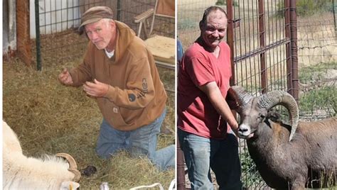 Montana Man Gets 6 Months In Prison For Cloning Giant Sheep And Breeding It