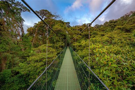 Monteverde Travel Guide Cloud Forest Zip Lines Hotels Costa Rica