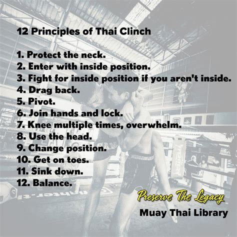 Muay Thai Clinch Reddit