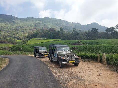 Munnar Jeep Safari Explore Tea Plantations Wildlife And Scenic Views Munnar Jeep Safari Explore Tea Plantations Wildlife And Scenic Views