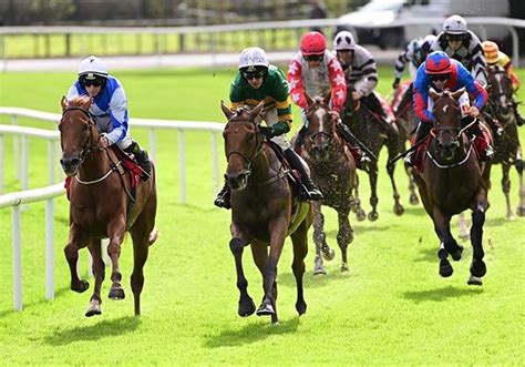 Mystical Power An Exciting Prospect Irishracing Com Mystical Power An Exciting Prospect Irishracing Com