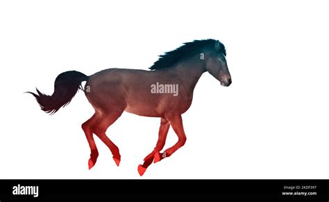 Mystical Power Horse Hi Res Stock Photography And Images Alamy Mystical Power Horse Hi Res Stock Photography And Images Alamy