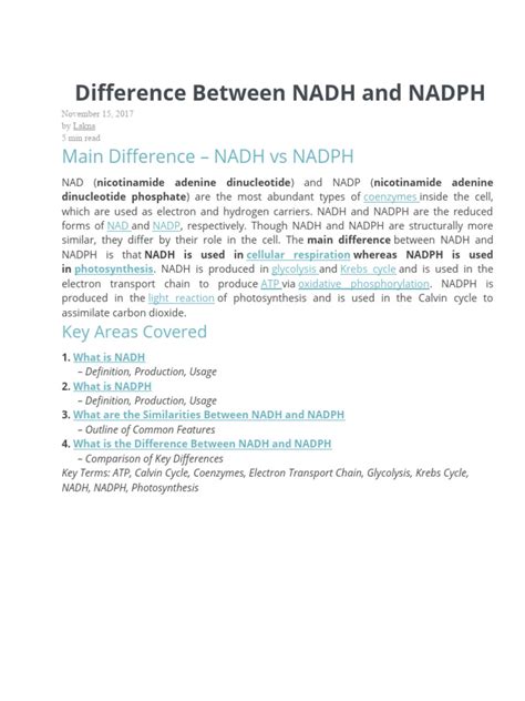 Nadh Vs Nadph Key Differences Roles