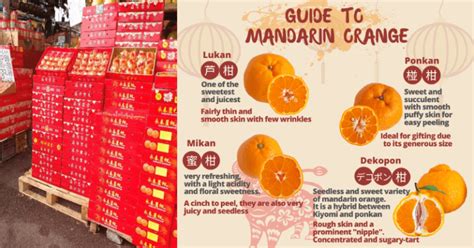 Nak Beli Limau Mandarin Kena Tahu Dulu Jenis Limau Mandarin Yang Sedap