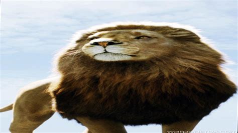 Narnia Aslan Wallpaper 68 Images