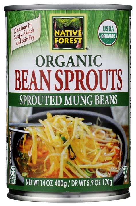 Native Forest Organic Sprouted Mung Bean Sprouts Same Day Delivery Or Pickup Sprouts Farmers Market