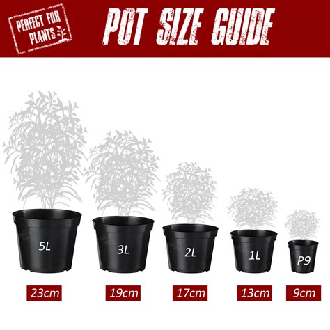 Native Plant Pot Size Native Plant Pot Size