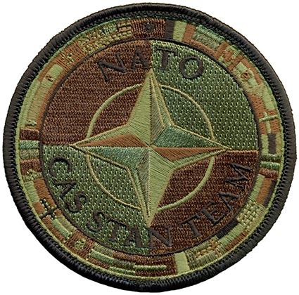 Nato Close Air Support Standardization Team Ocp Flightline Insignia