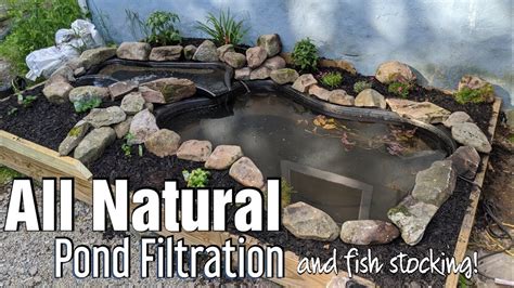 Natural Pond Youtube