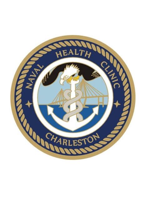 Naval Health Clinic Charleston Aces Inspection Goose Creek Sc Patch