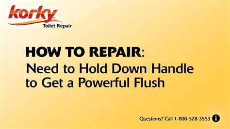 Need To Hold Down Handle To Get Powerful Flush Youtube
