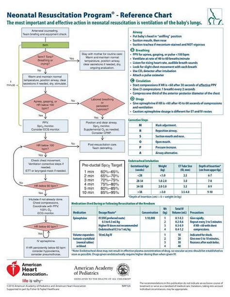 Neonatal Resuscitation Program