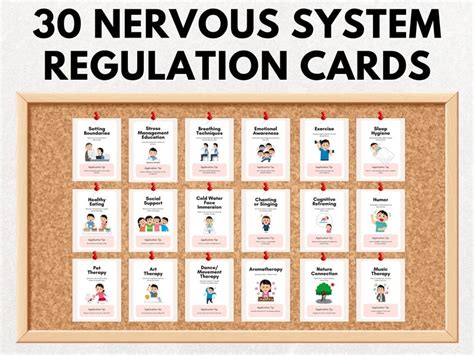 Nervous System Regulation Therapy Cards Stress Relief Somatic Therapy Cards Deck 32 Nervous System Regulation Exercises For Stress Relief Somatic Therapy Coping Cards
