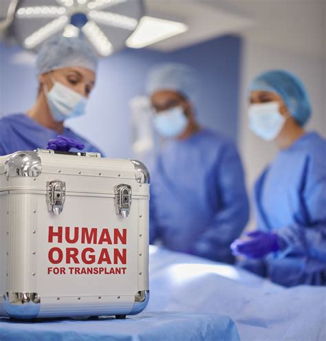 New Research Supports Expansion Of Kidney Donation To Include Organs