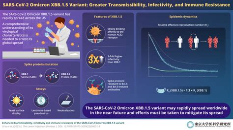 New Study Shows Sars Cov 2 Omicron Xbb 1 5 Variant Is Highly