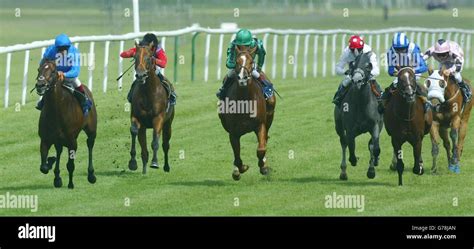 Newbury Racing Meshaheer Stock Photo Alamy