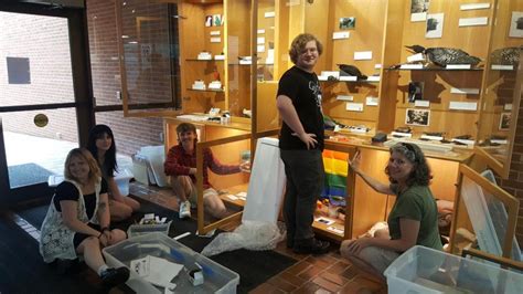 Newest Gmnh Exhibit Birds Of A Feather Georgia Museum Of Natural History