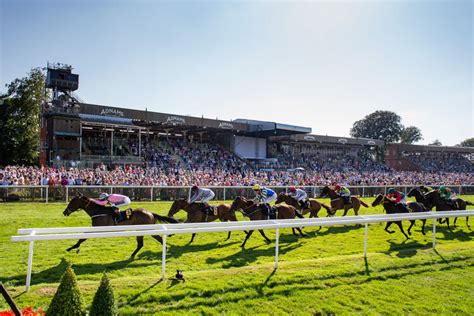Newmarket Racecourse Scene At An Evening Horse Race Meeting July Course Newmarket Suffolk Uk Stock Photo Alamy