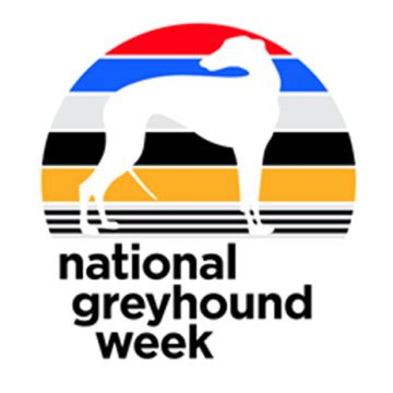 News All National Greyhound