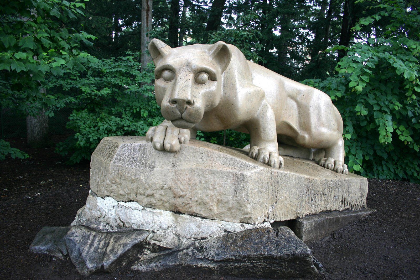 5 Facts Nittany Lion