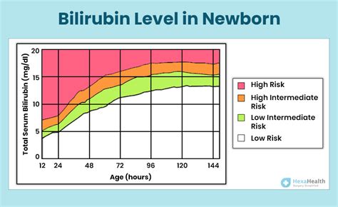 Normal Bilirubin Levels In Newborns Chart Website Of Yivonazi