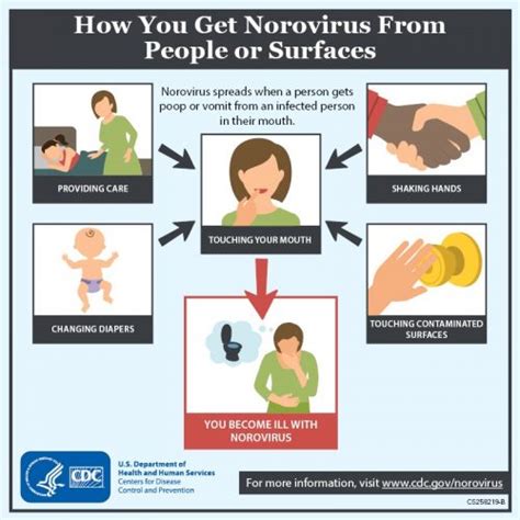 Norovirus Disease Outbreak Control Division