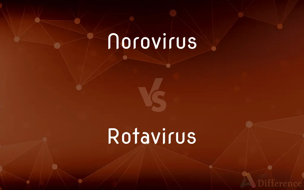 Norovirus Vs Rotavirus What S The Difference