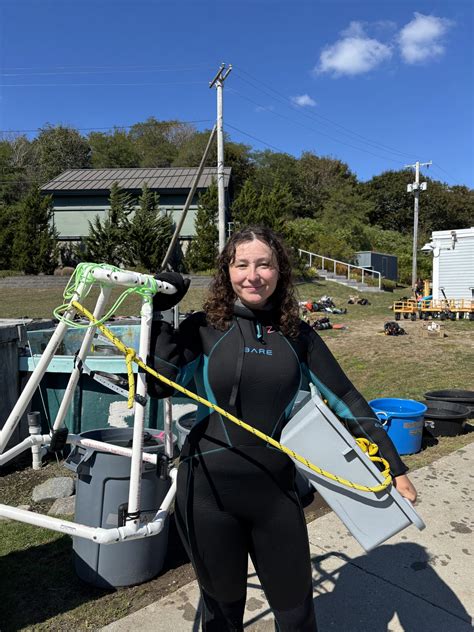 Northeastern Masters Programs Guide