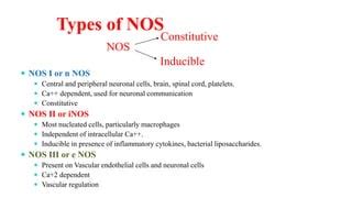 Nos Medical Abbreviation
