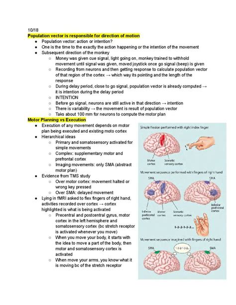 Notes For Cognitive Neuroscience Psyc 3122 At George Washington