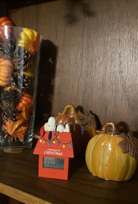 November 25 2023 Runners Fly