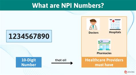 Npi Number Meaning