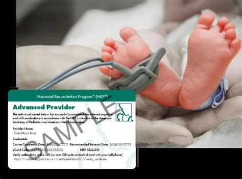 Nrp Certification Nrp Renewal Surefire Cpr