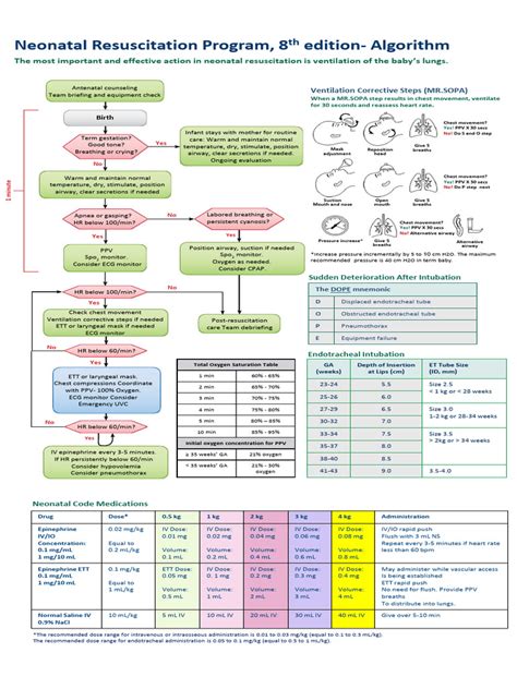 Nrp Resuscitation Algorithm