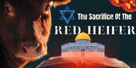 Numbers 19 Lessons From The Red Heifer Sacrifice Regarding Jesus Atonement For Humanity S Intentional Sins Inspired Scripture