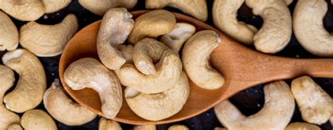 Nuts Fact Know All About The Amazing Cashews The Origin Camel Nuts