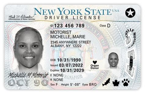 Ny Issues New Driver S Licenses With Enhanced Security Features