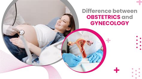 Ob Gyn Difference Between Obstetrics And Gynecology