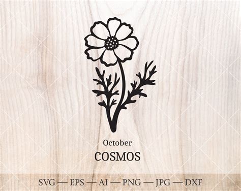 October Birth Flower Tattoo Cosmos Svg October Birth Flower Svg